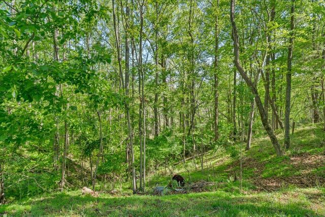 2728 Lipscomb RD, Moneta, VA 24121
