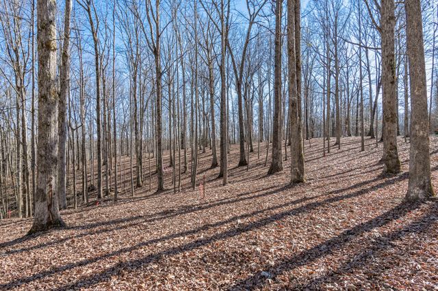 5717 Quest Ridge Rd, Franklin, TN 37064