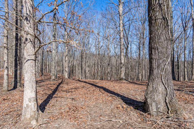 5717 Quest Ridge Rd, Franklin, TN 37064