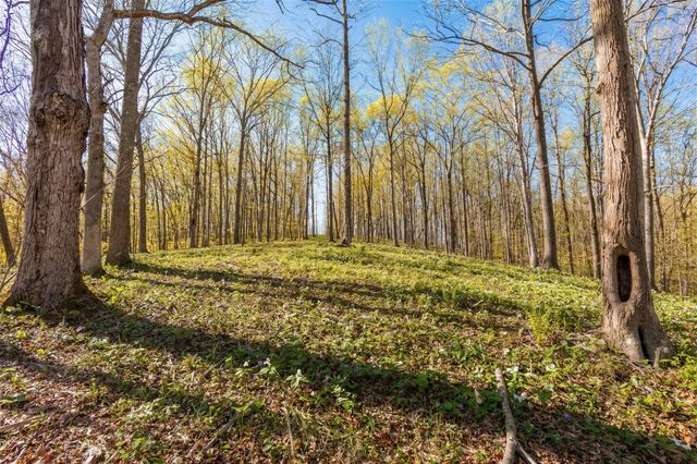 5717 Quest Ridge Rd, Franklin, TN 37064