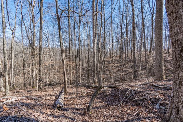 5717 Quest Ridge Rd, Franklin, TN 37064