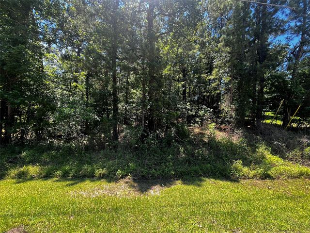 0 Hickory Ridge Drive, Coldspring, TX 77331