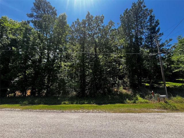 0 Hickory Ridge Drive, Coldspring, TX 77331