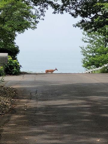 3170 Wild Dunes Path, Lincoln Twp, MI 49127