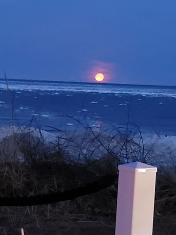 3170 Wild Dunes Path, Lincoln Twp, MI 49127