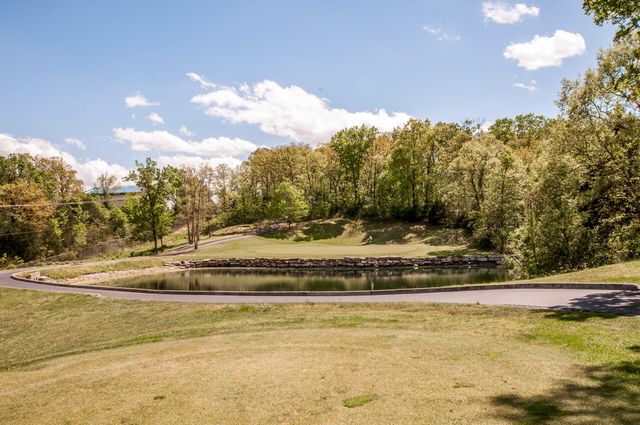 200 Glory Road D3, Branson, MO 65616