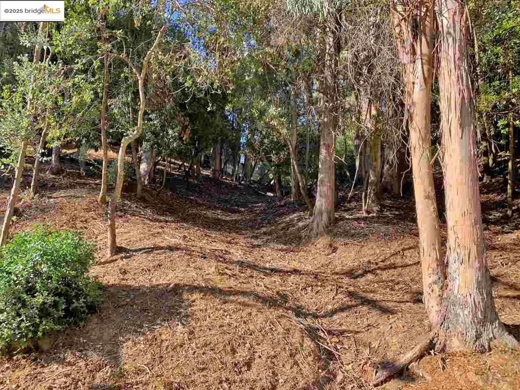 6698 Moore Dr, Oakland, CA 94611