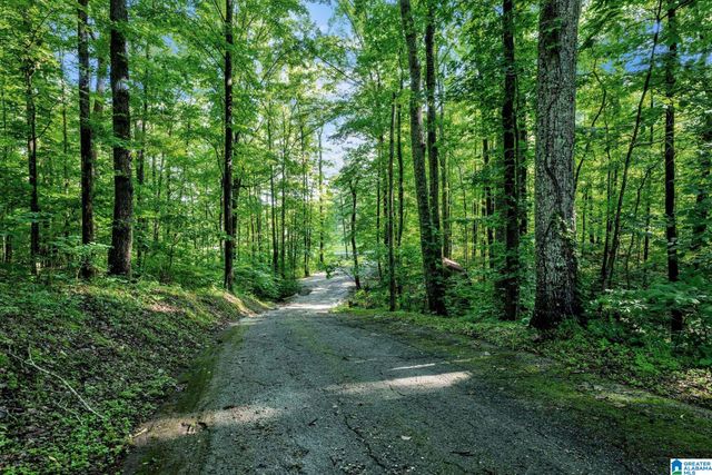 7334 HELMS CIRCLE, Pinson, AL 35126