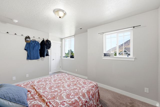 344 E 700 N, Springville, UT 84663