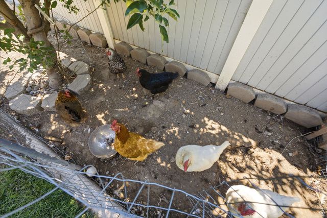 344 E 700 N, Springville, UT 84663
