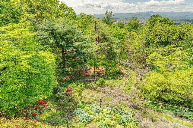24 Westhaven Drive, Asheville, NC 28804