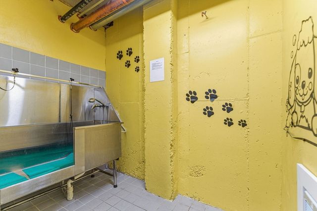 30 Penniman Rd 302, Boston, MA 02134