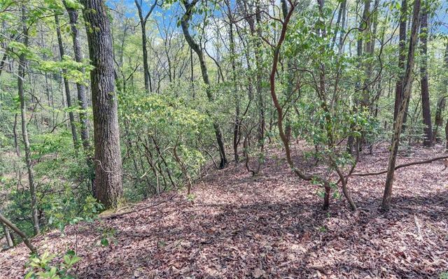 761 Clayton Gooch Road, Dahlonega, GA 30533