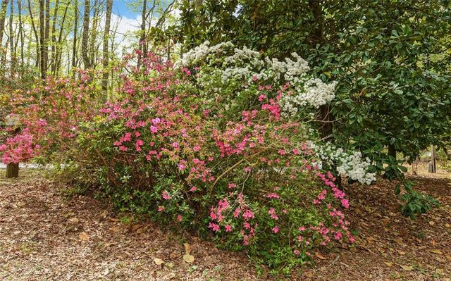 761 Clayton Gooch Road, Dahlonega, GA 30533