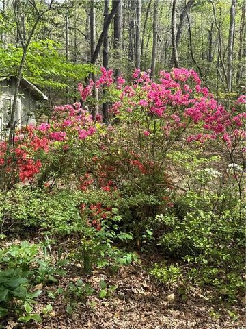 761 Clayton Gooch Road, Dahlonega, GA 30533