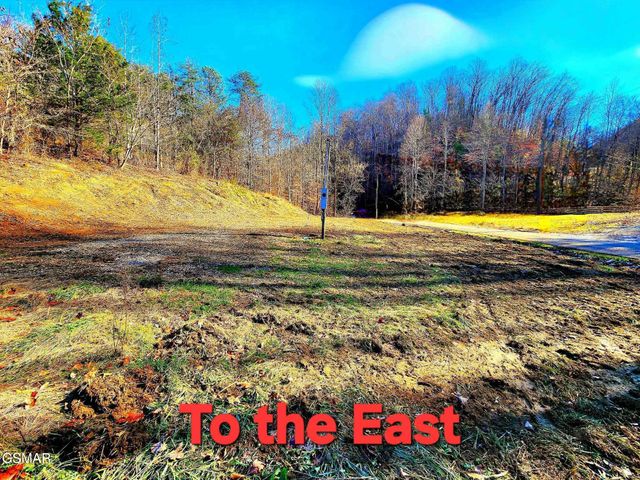 2393 Lower Rinehart Road, Dandridge, TN 37725