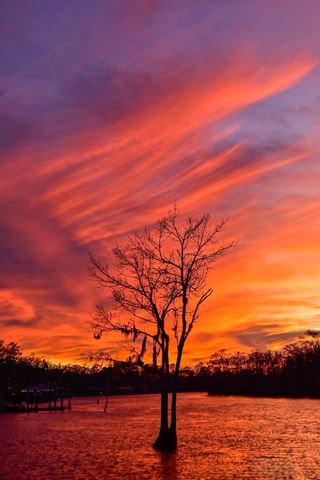 621 Riverward Dr Unit 621, Myrtle Beach, SC 29588