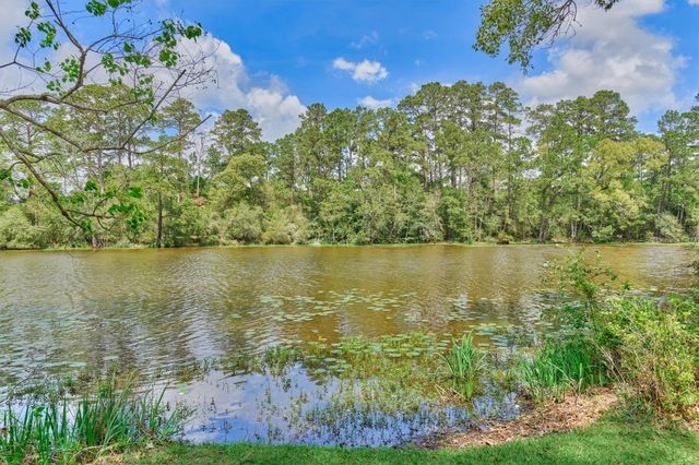 16727 Boothill Road, Stagecoach, TX 77355