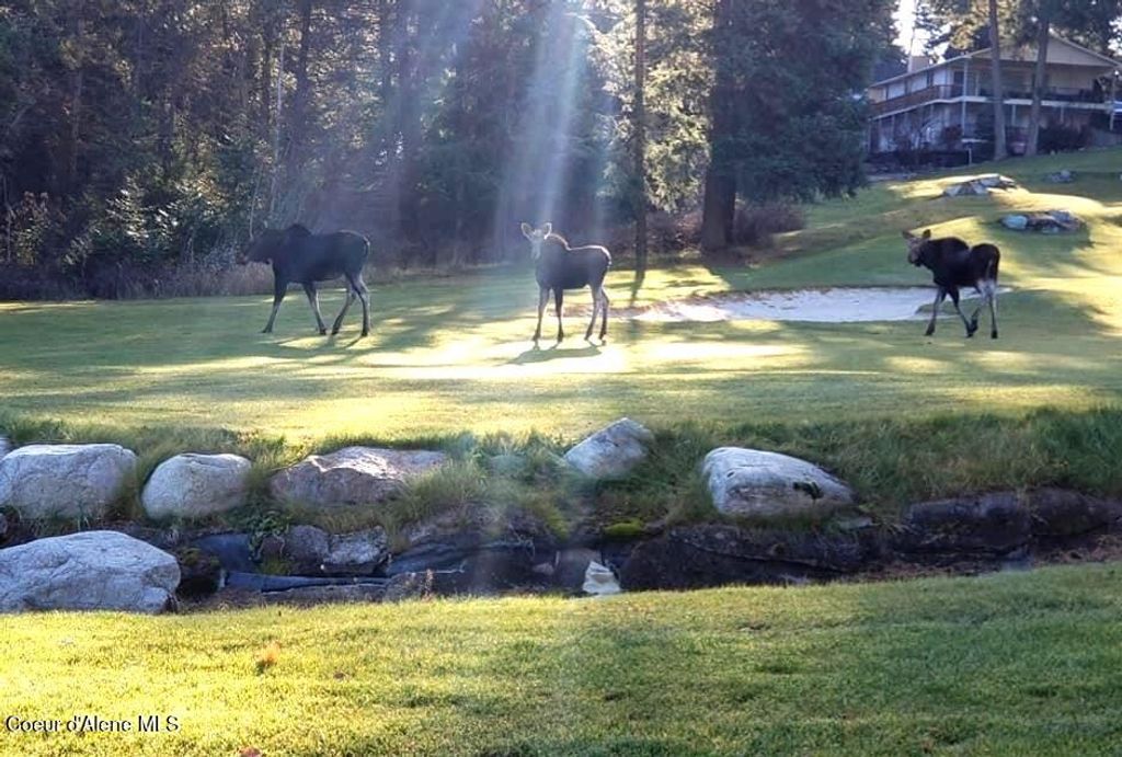 107 Par Loop LN, Blanchard, ID 83804 photo 25