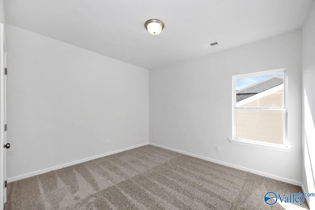 1121 Tanger Glen Trail NW, Harvest, AL 35749