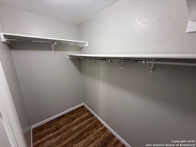 8215 DONLEY POND, San Antonio, TX 78254