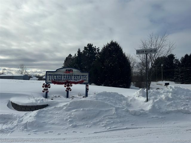 Parcel 2 & 3 Nelson William, Brandon Charter Township, MI 48462