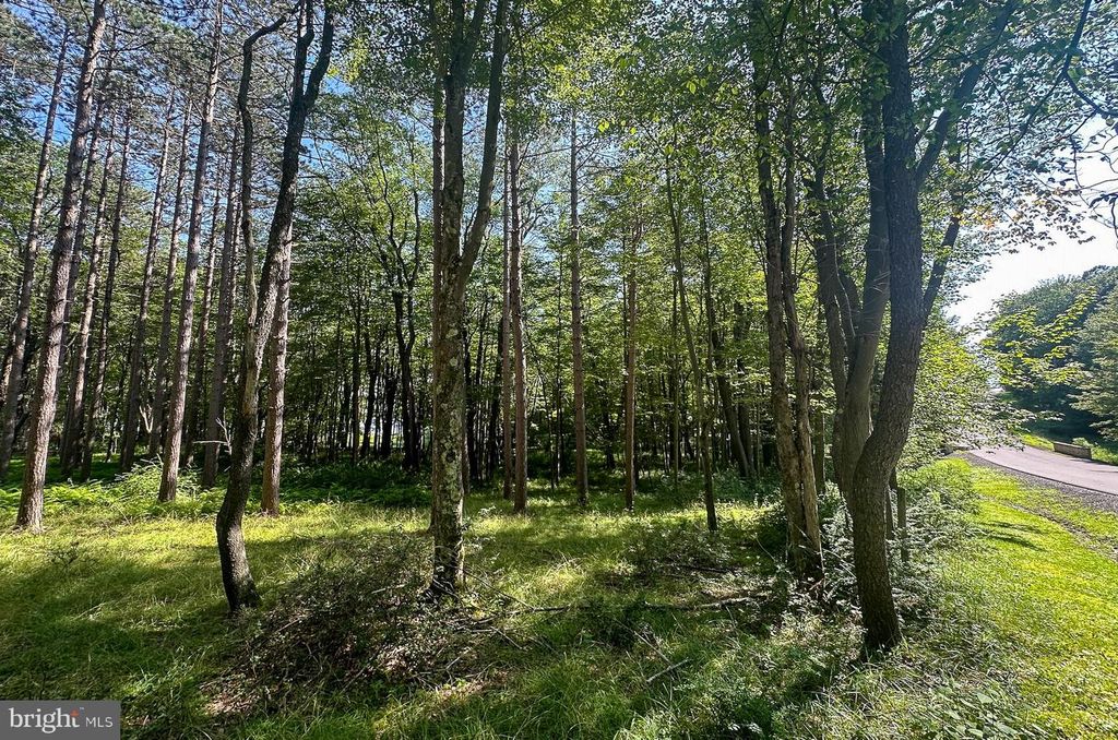 LOT 25 HOLY CROSS DRIVE, Oakland, MD 21550