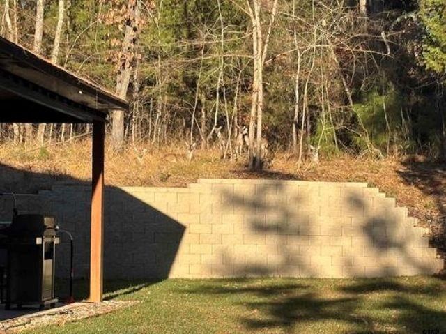 18654 Quiet Anchor Ln, Flint, TX 75762