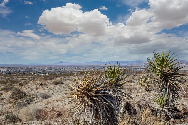 125 Utah Trail, 29 Palms, CA 92277