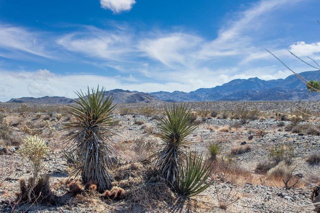 125 Utah Trail, 29 Palms, CA 92277