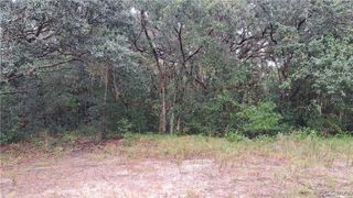 289 N highview Avenue, Hernando, FL 34442