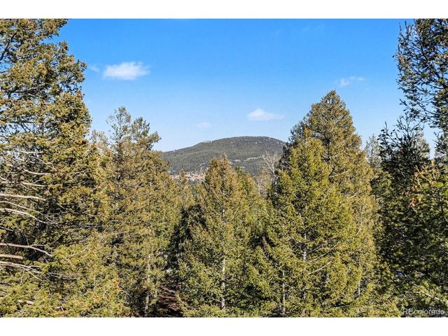 9780 S Warhawk Rd, Conifer, CO 80433