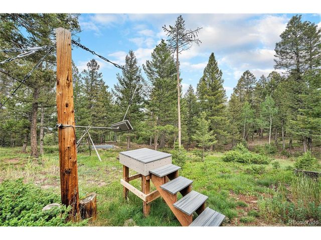 9780 S Warhawk Rd, Conifer, CO 80433