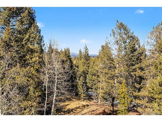 9780 S Warhawk Rd, Conifer, CO 80433