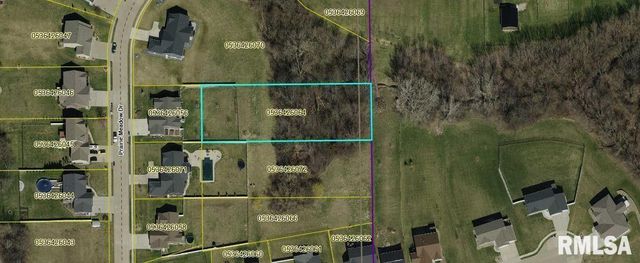 501 PRAIRIE MEADOWS Drive, Blue Grass, IA 52726