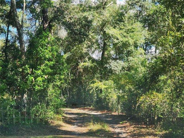 7910 NW 141ST STREET, Trenton, FL 32693