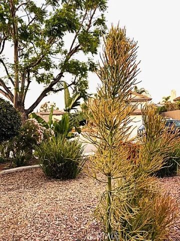 7 Carob, Newbury Park, CA 91320