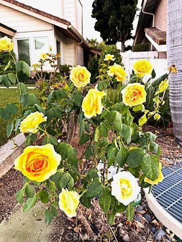 7 Carob, Newbury Park, CA 91320