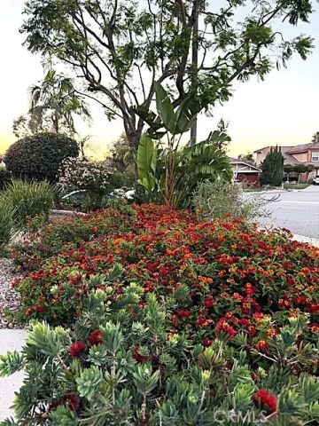 7 Carob, Newbury Park, CA 91320