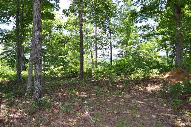 Lot 190 SE Trails End Way, Mineral Bluff, GA 30559