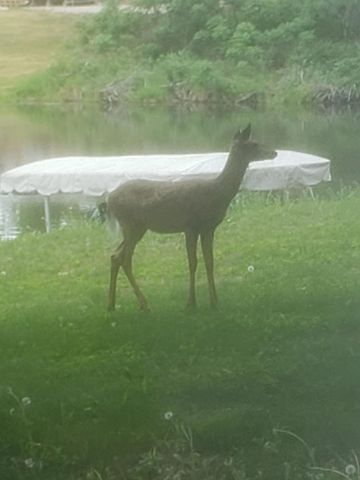 18112 Treasure Cove, Garrison, MN 56450