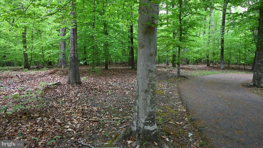 Image 23 of property listing at 14116 DUCKETT RD, Brandywine, MD 20613