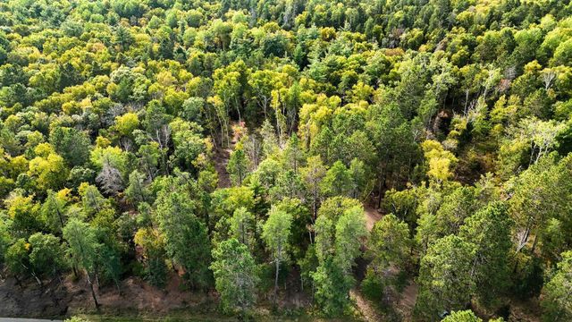 35375 Pine Terrace Road, Crosslake, MN 56472