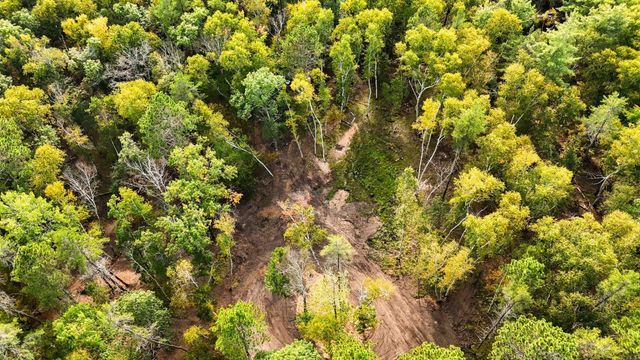 35375 Pine Terrace Road, Crosslake, MN 56472