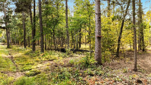 35375 Pine Terrace Road, Crosslake, MN 56472