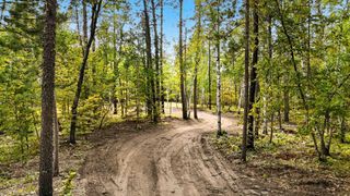 35375 Pine Terrace Road, Crosslake, MN 56472
