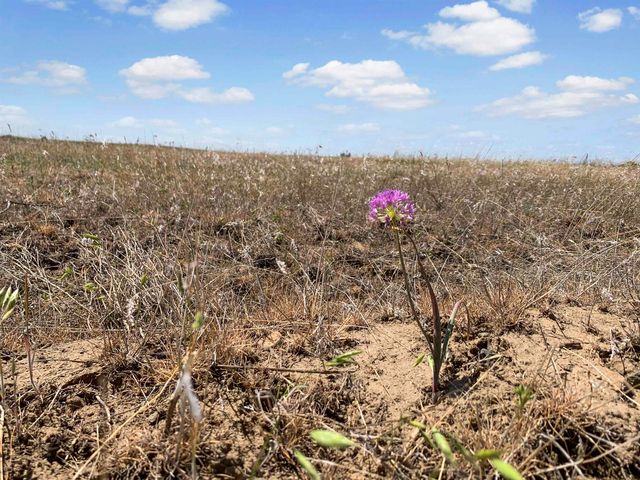 00L N Ritchey Rd, Spokane, WA 99224