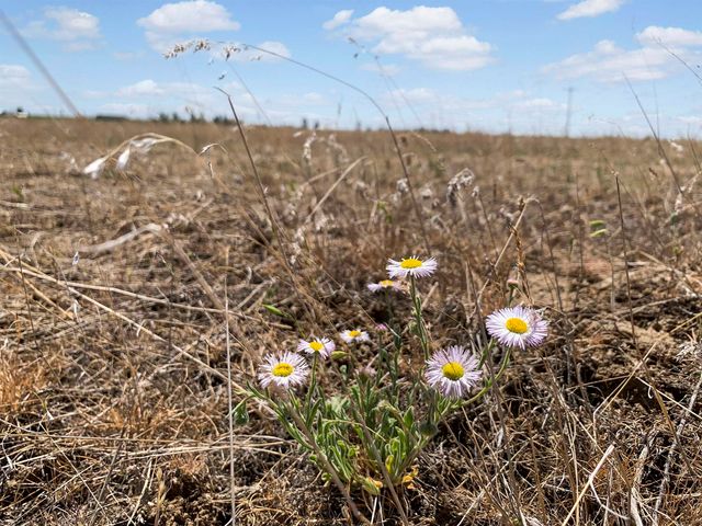 00L N Ritchey Rd, Spokane, WA 99224