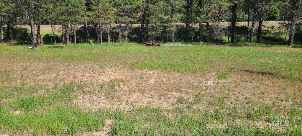 TBD Scenic View Dr., Lowman, ID 83637