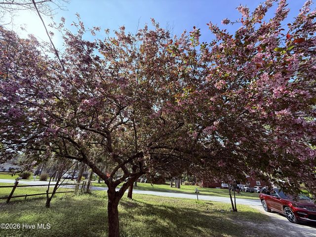 910 Highland Avenue, Trent Woods, NC 28562